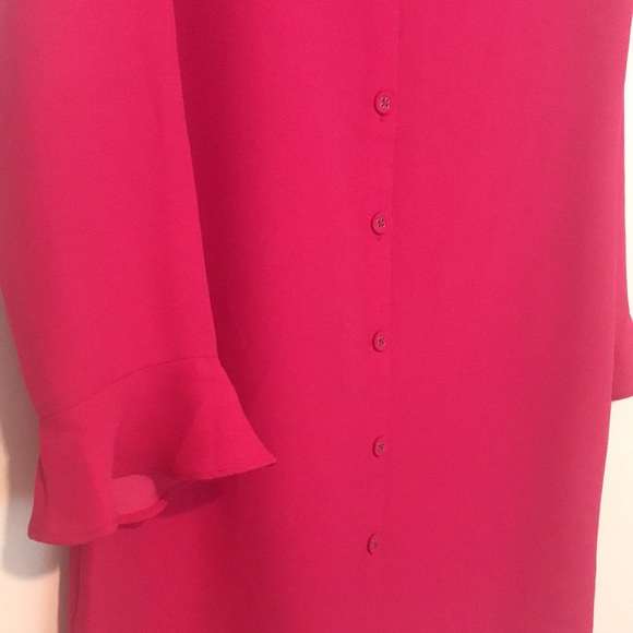 Banana Republic Pink Ruffle Sleeve/Back Button Dress - Picture 4 of 4